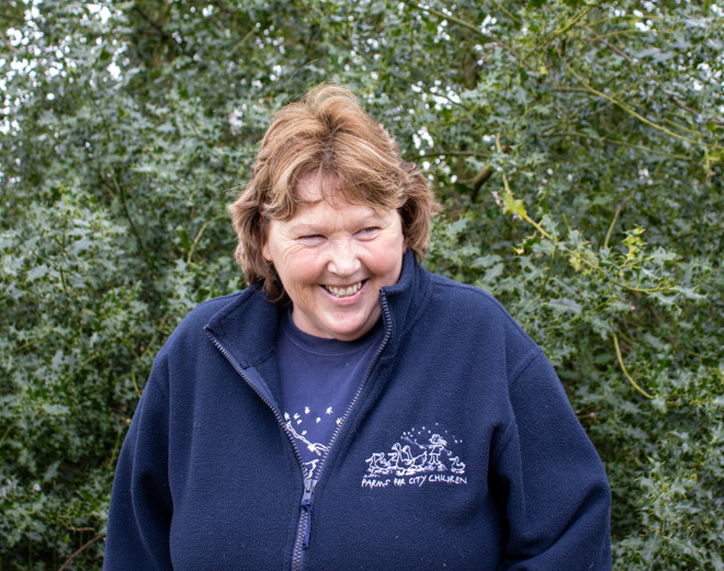 Julie Booton Farms For City Children