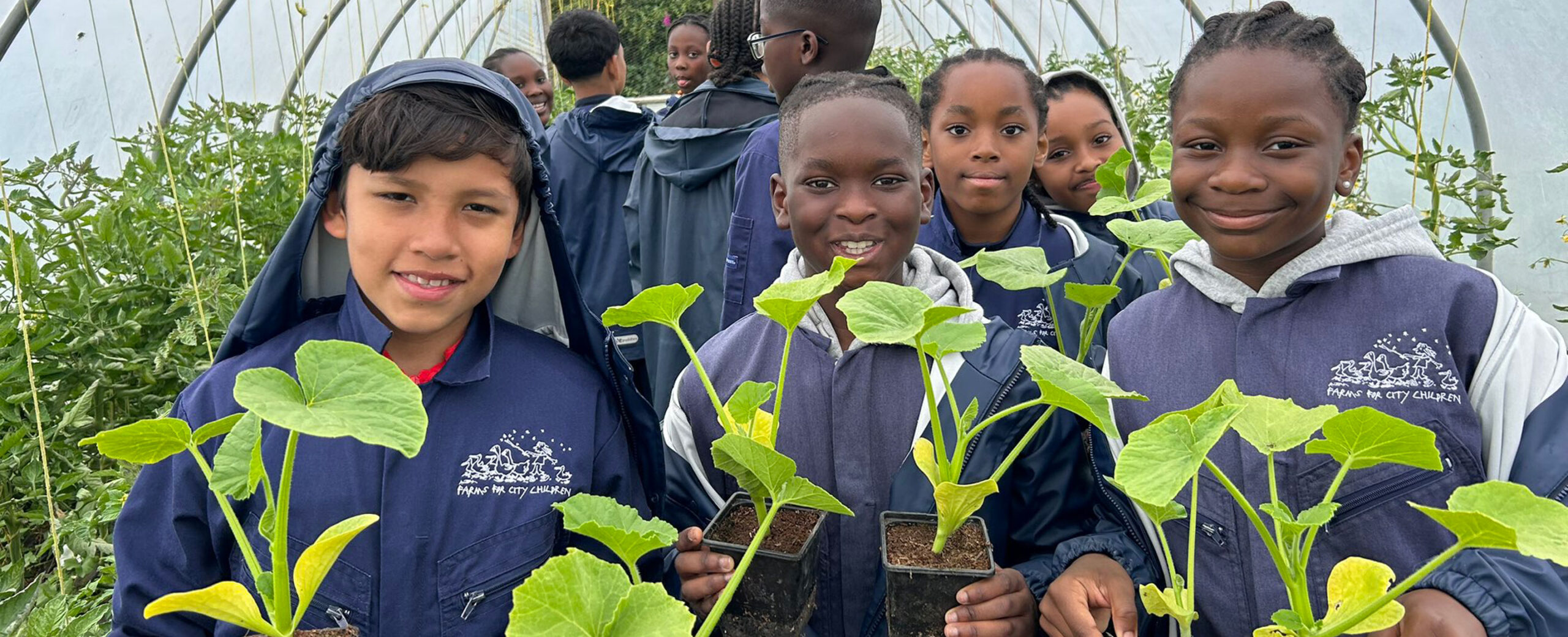 Group of children holding plants in polytunnel