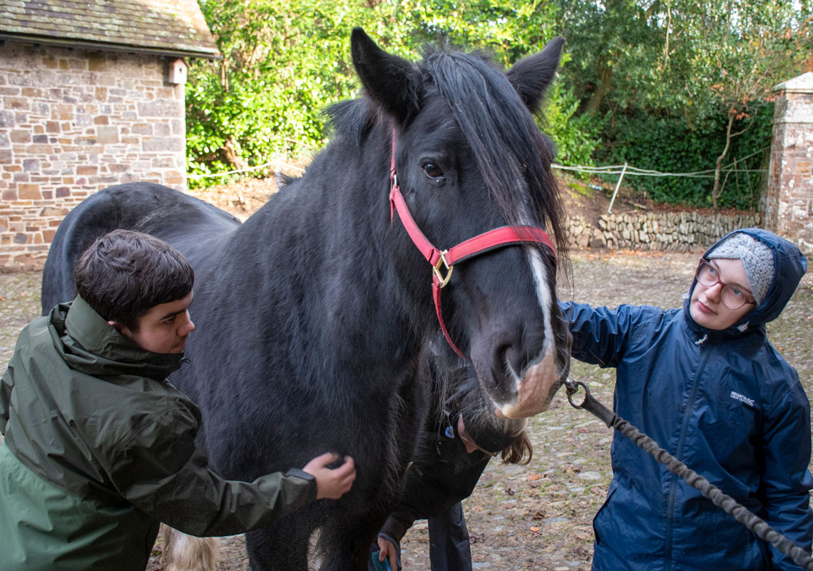 Two young people on a farm in overalls, grooming a black horse.